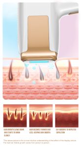 At-Home IPL Hair Removal Device with Sapphire Ice Cooling, Painless & Long-Lasting Result for Women & Men 枪型脱毛仪 英文 11